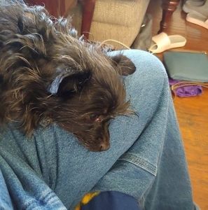 Meet your Posher, Matthew